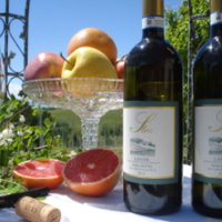 Vini Azienda Agricola Stra